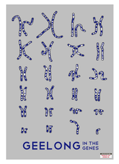 Geelong Cats - Chromosome