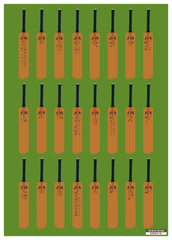 A History of the Ashes in 24 Bats