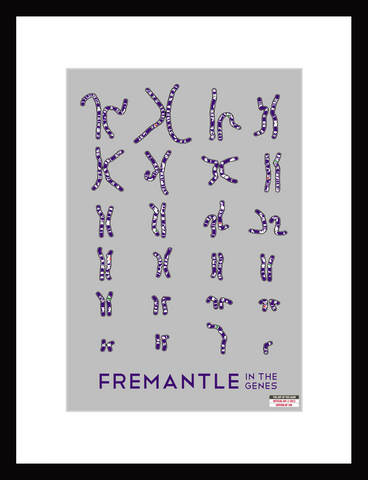 Fremantle - Chromosome