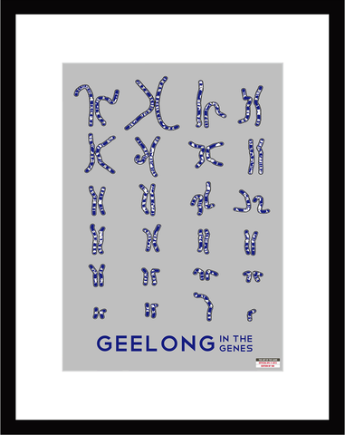 Geelong Cats - Chromosome